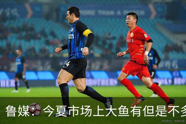 鲁媒：今夏市场上大鱼有但是不多 听说有南方球队会放出几个队员